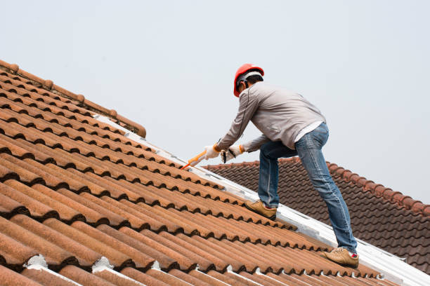Best Roof Maintenance and Cleaning  in Capron, IL