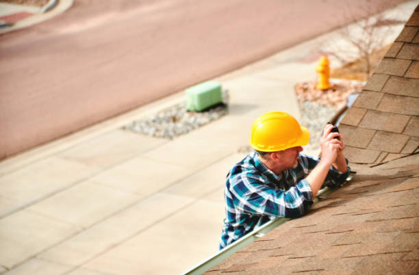 Best Chimney Flashing Repair  in Capron, IL
