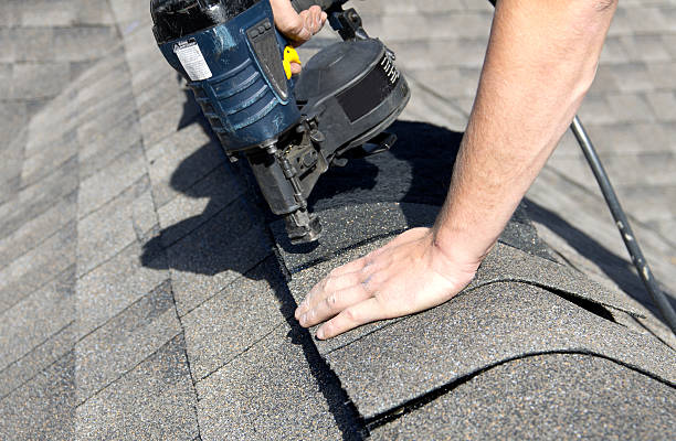 Steel Roofing in Capron, IL